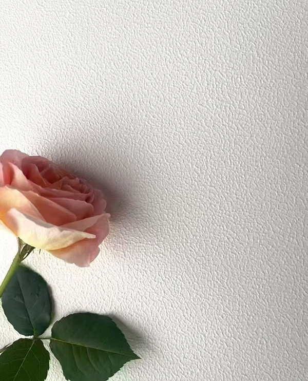 小羊皮